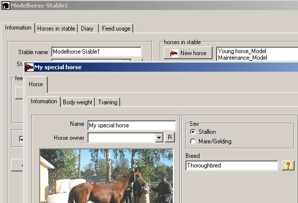 44-184 specialmodelhorse